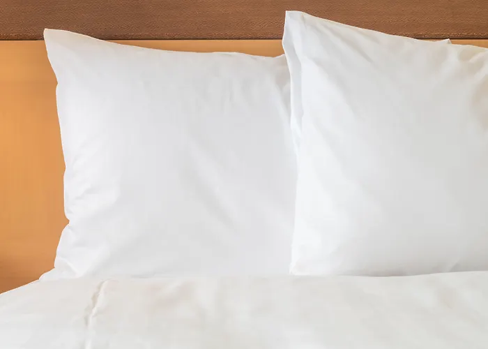 Crowne Plaza Hotel St. Louis Airport By Ihg